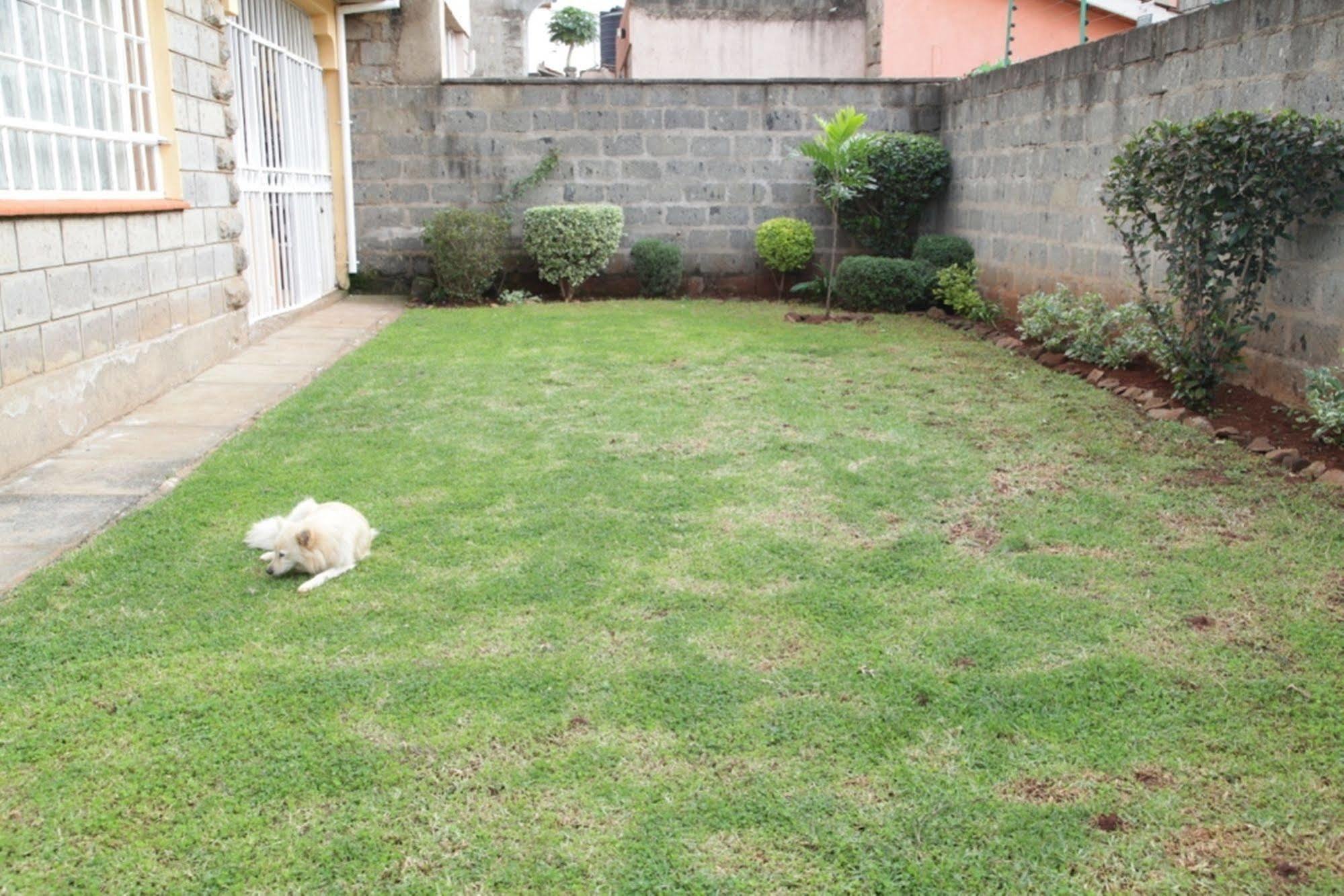 Mdawida Homestay Nairobi Buitenkant foto